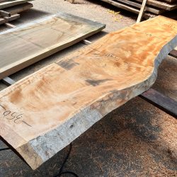 栃の木一枚板ｔ1103