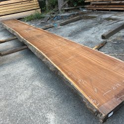 アサメラ一枚板AM59