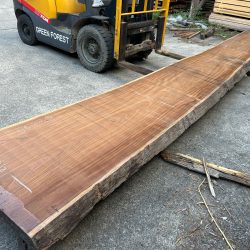 アサメラ一枚板AM59