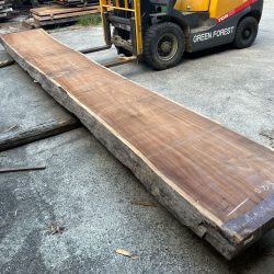 アサメラ一枚板AM59