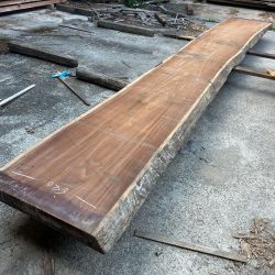 アサメラ一枚板AM59