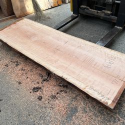 アメリカンブラックチェリーACH132