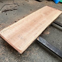 アメリカンブラックチェリーACH132