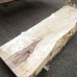 栃の木一枚板t1015