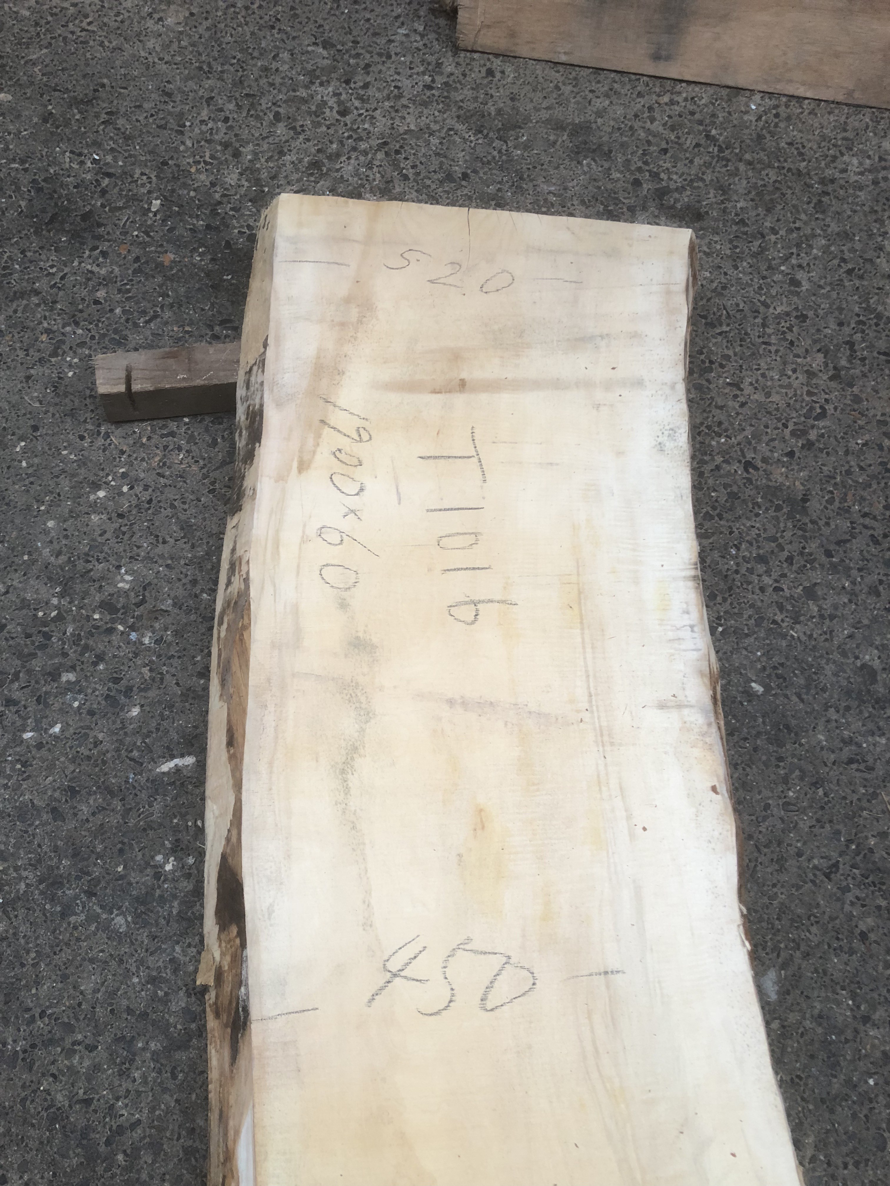 栃の木一枚板t1016