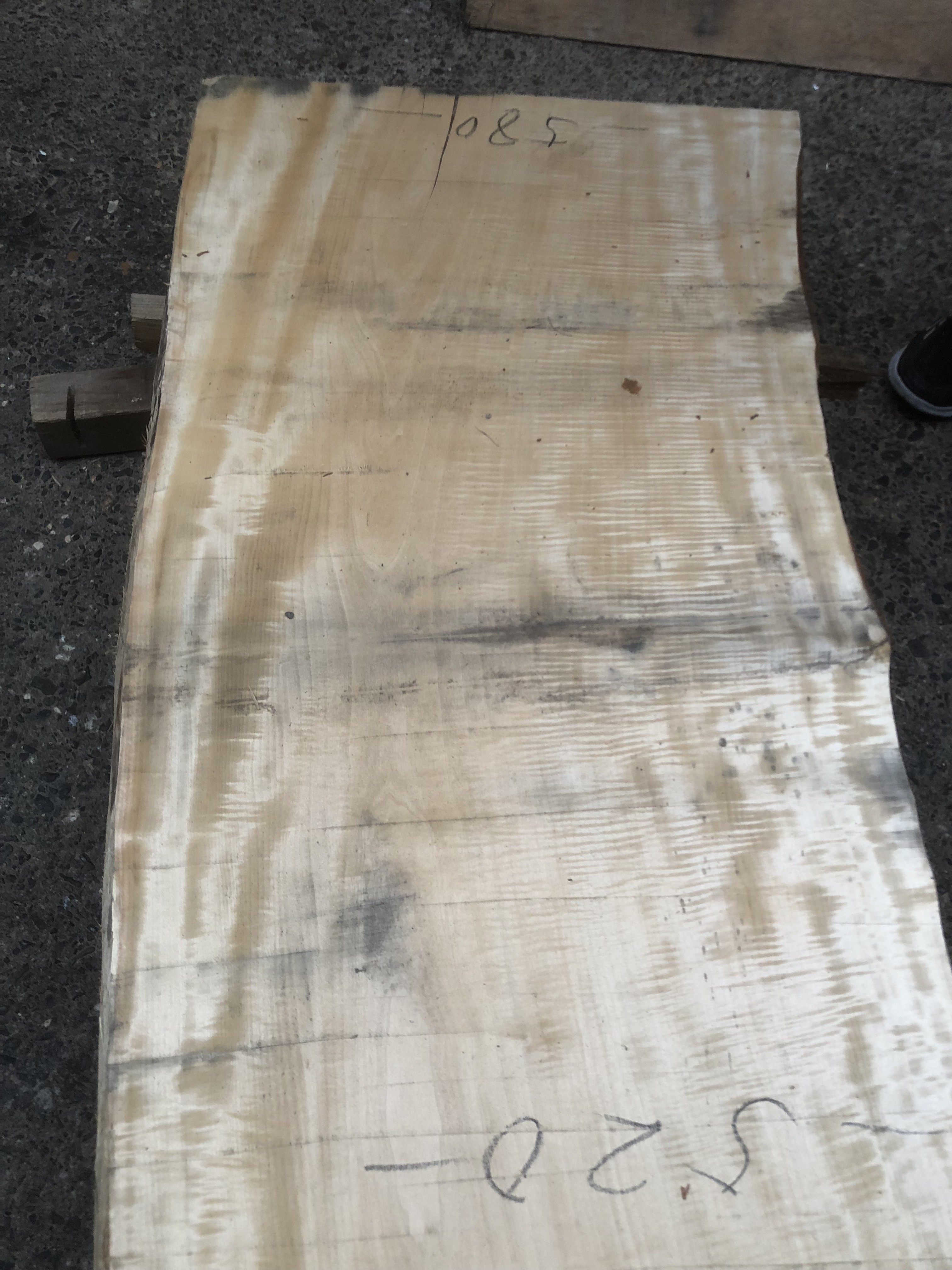 栃の木一枚板t1017
