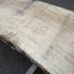 栃の木一枚板t1018