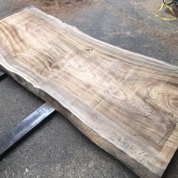 楠の木一枚板KS53