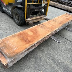 アメリカンブラックチェリー一枚板ACH138