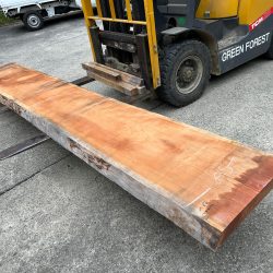 アメリカンブラックチェリー一枚板ACH138