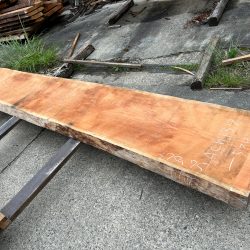 アメリカンブラックチェリー一枚板ACH137