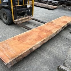 アメリカンブラックチェリー一枚板ACH137