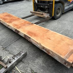 アメリカンブラックチェリー一枚板ACH137