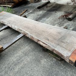 アメリカンブラックチェリー一枚板ACH139