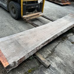 アメリカンブラックチェリー一枚板ACH139