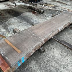 アメリカンブラックチェリー一枚板ACH139