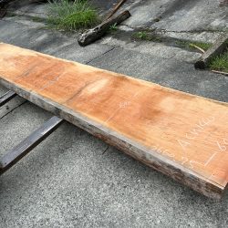 アメリカンブラックチェリー一枚板ACH140