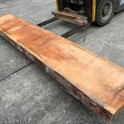 アメリカンブラックチェリー一枚板ACH140