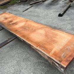 アメリカンブラックチェリー一枚板ACH141