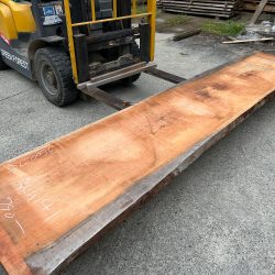 アメリカンブラックチェリー一枚板ACH141