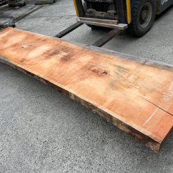 アメリカンブラックチェリー一枚板ACH141