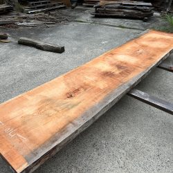 アメリカンブラックチェリー一枚板ACH141