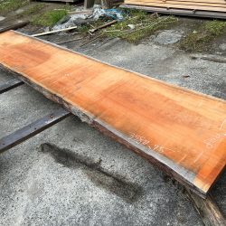 アメリカンブラックチェリー一枚板ACH142