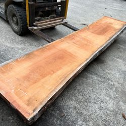 アメリカンブラックチェリー一枚板ACH142