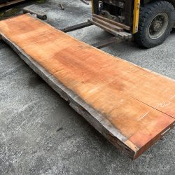 アメリカンブラックチェリー一枚板ACH142