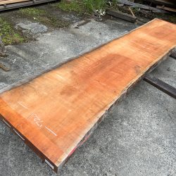 アメリカンブラックチェリー一枚板ACH142