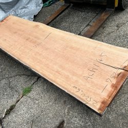 アメリカンブラックチェリーACH145