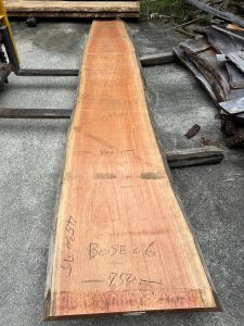 アフリカンチェリーBOSE06