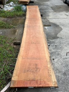 アフリカンチェリーBOSE07