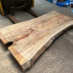 楠の木一枚板KS68