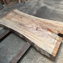 楠の木一枚板KS68