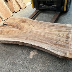 楠の木一枚板KS69