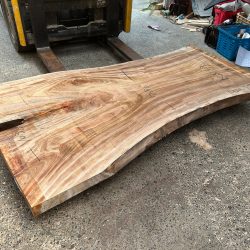 楠の木一枚板KS69