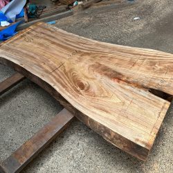 楠の木一枚板KS69