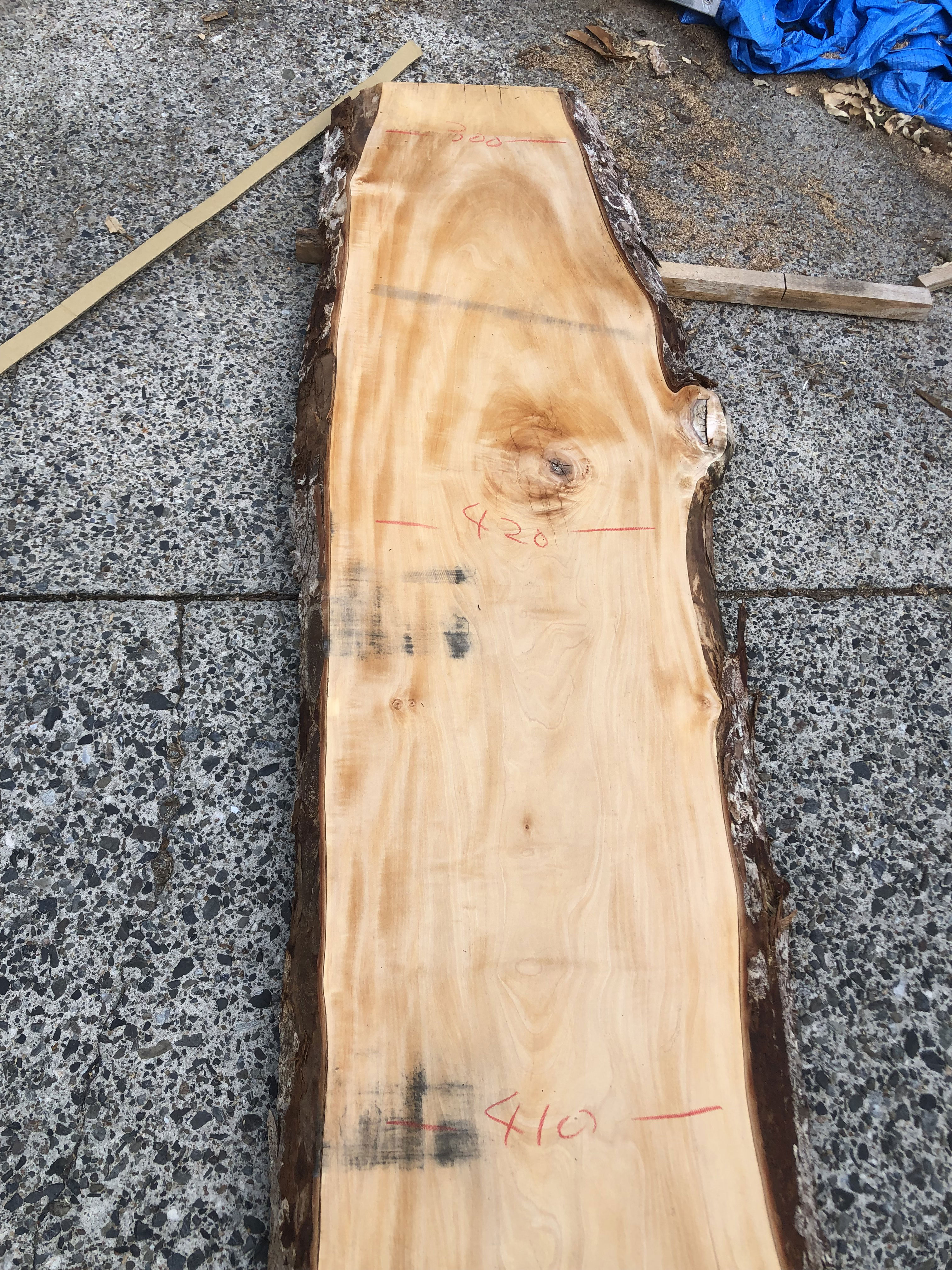 栃の木一枚板ｔ1075